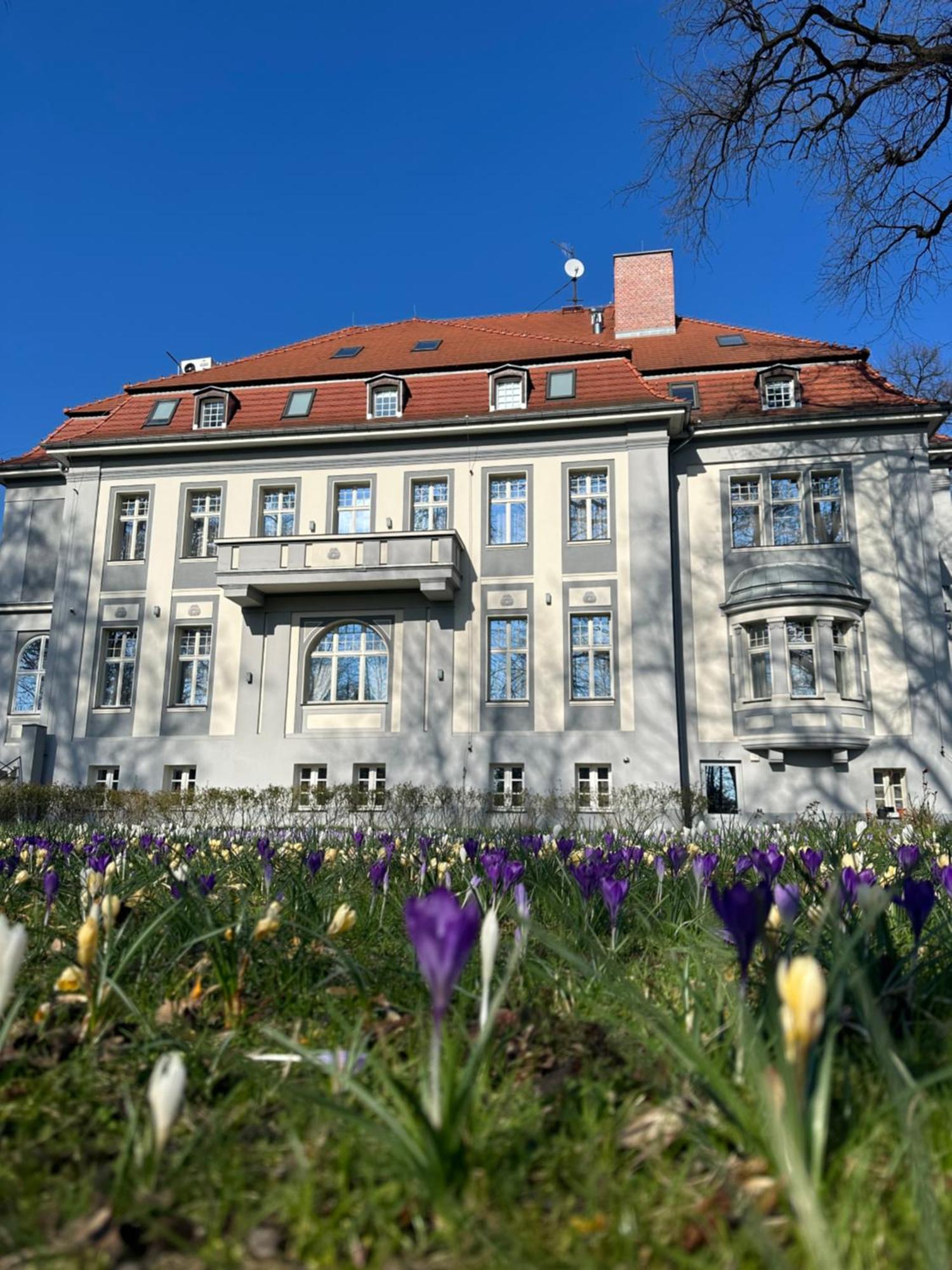 Hotel Willa Starosty Miedzyrzecz ภายนอก รูปภาพ